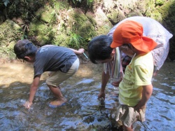 うわー、冷たくて気持ちいい!!