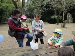 最初はドングリ拾い。 いくつ拾ったか数えてみよう！