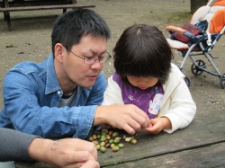 ドングリの皮をむいたら、 動物さんたちの食べ物になるんだって。