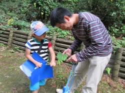 ギザギザの葉っぱを見つけたよ。