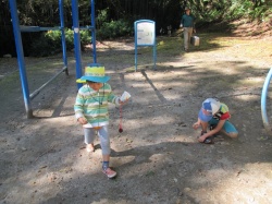 すっかり仲良くなって、 最後も一緒にドングリ拾いをしました。