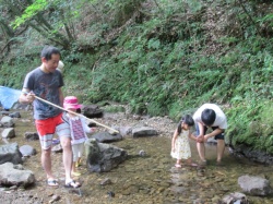 魚がいるかな？ よーく見て。