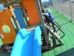 1人で上手に階段上れるよ☆